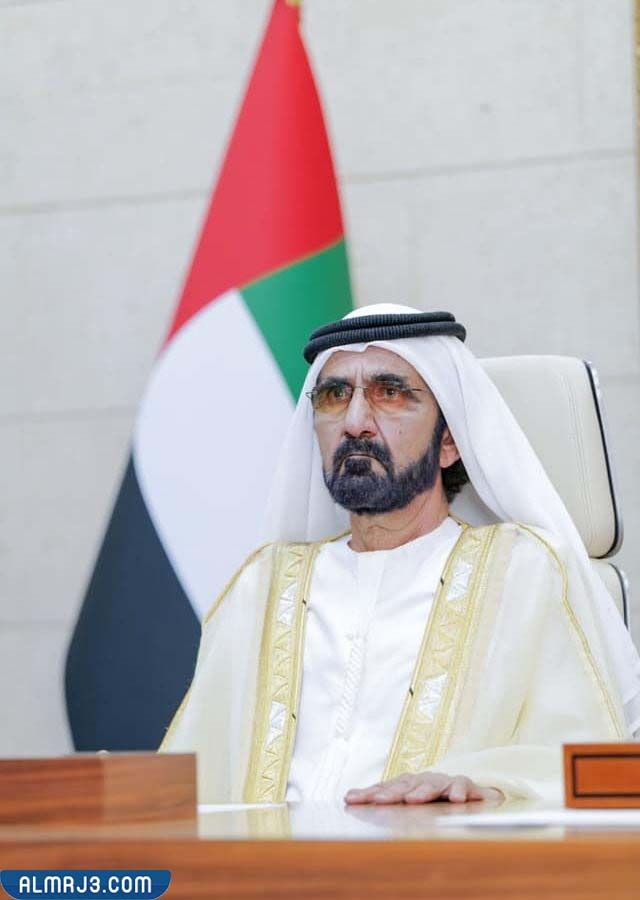  الشيخ محمد بن راشد ويكيبيديا