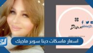 اسعار ماسكات دينا سوبر ماجيك بالفصيل