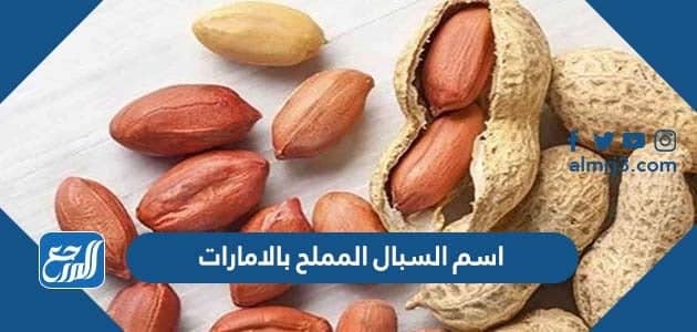 اسم السبال المملح بالامارات