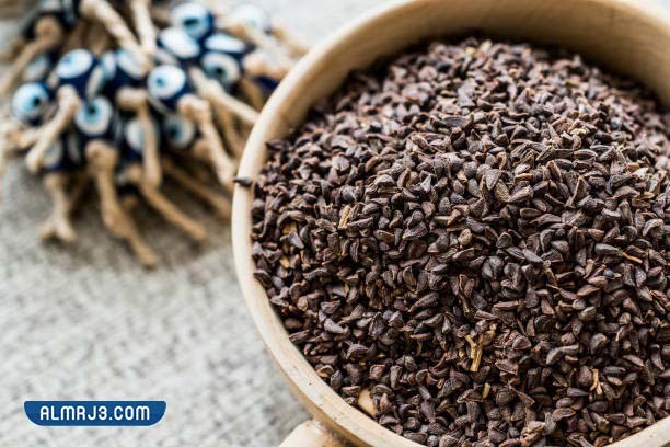 تجربتي مع الحرمل للشعر