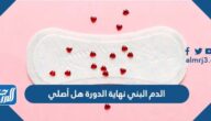 الدم البني نهاية الدورة هل أصلي
