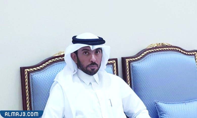 السيرة الذاتية لمحمد سيف المنصوري