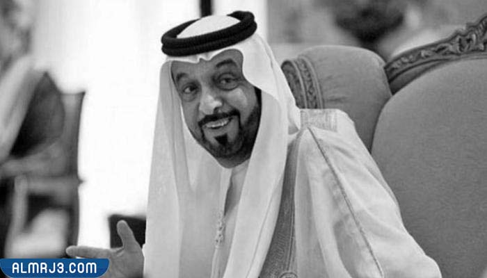 الشيخ خليفة بن زايد آل نهيان السيرة الذاتية