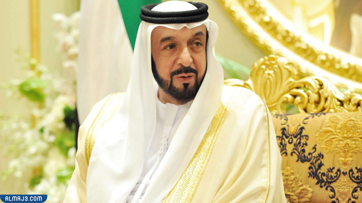 الشيخ خليفة بن زايد السيرة الذاتية