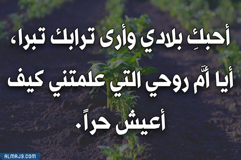 كلمات عن حب الوطن بالصور