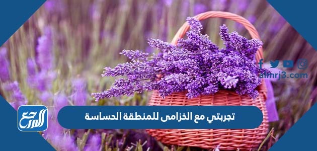 تجربتي مع الخزامى للمنطقة الحساسة