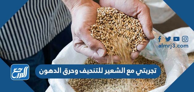 تجربتي مع الشعير للتنحيف وحرق الدهون