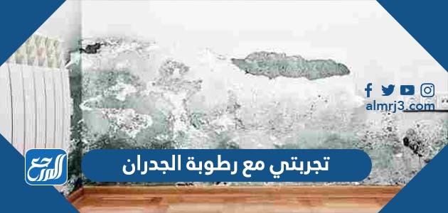 تجربتي مع رطوبة الجدران