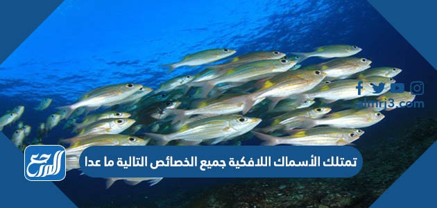 تمتلك الأسماك اللافكية جميع الخصائص التالية ما عدا