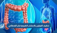 تنظيف القولون بالاعشاب الطبيعية جابر القحطاني