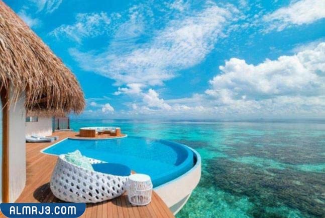 جزر المالديف ويكيبيديا