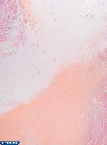 خلفيات للورد جاهزة للكتابة ملونة