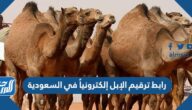 رابط ترقيم الإبل إلكترونياً في السعودية 2025