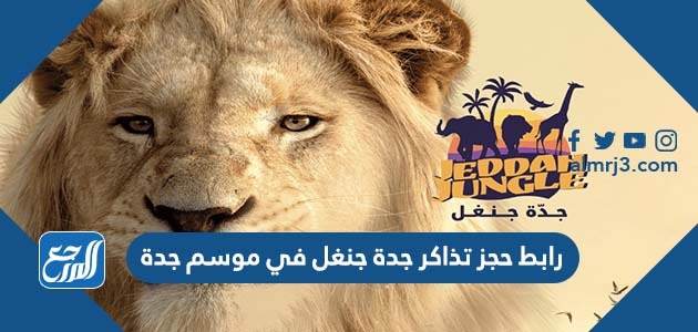 رابط حجز تذاكر جدة جنغل في موسم جدة
