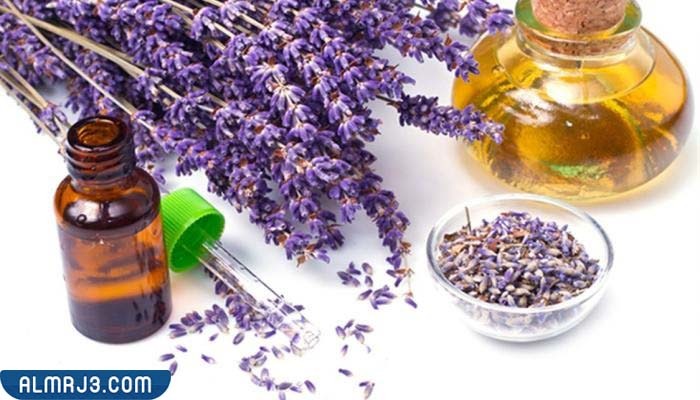 محاذير استخدام عشبة الخزامى