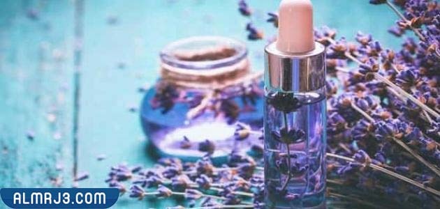 الفوائد العامة لعشبة الخزامى