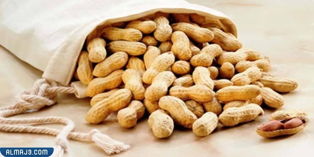 سبب تسمية السبال المملح بالفول السوداني