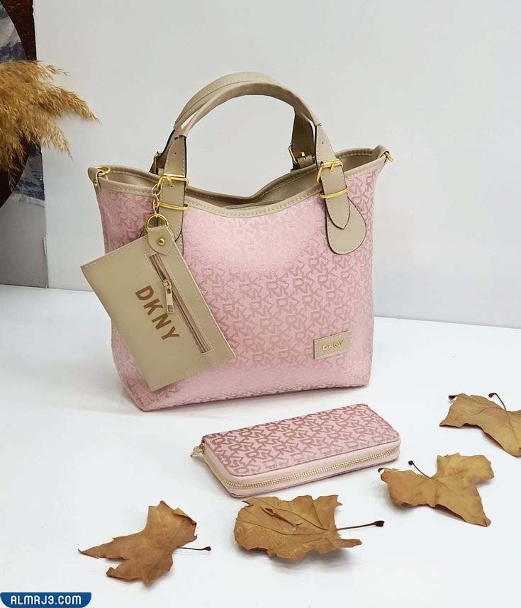 شنط ماركة دكني