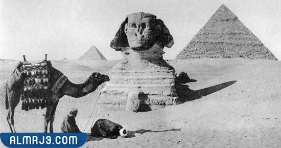 صور أبو الهول الحقيقية