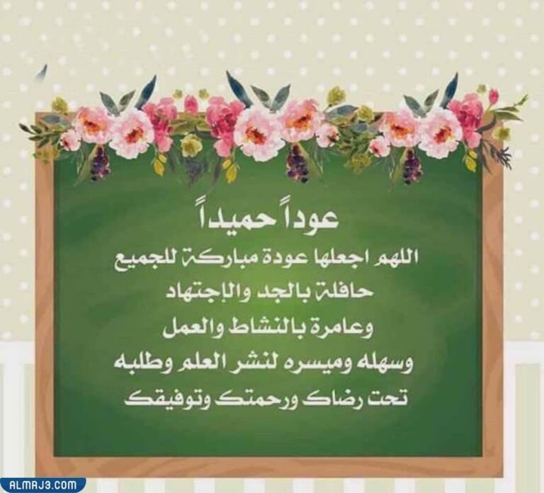 صور الرد على عودا حميدا