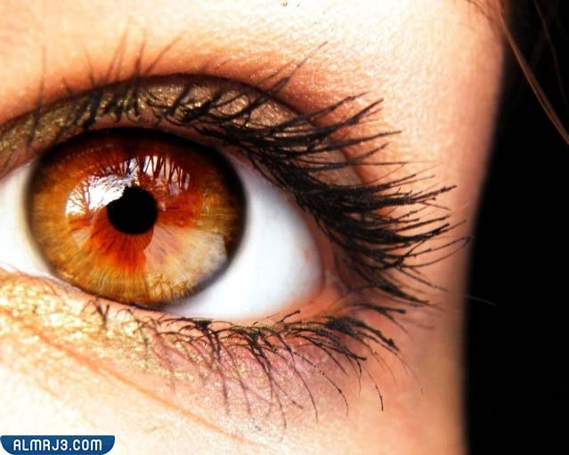 صور العيون الكهرمانية