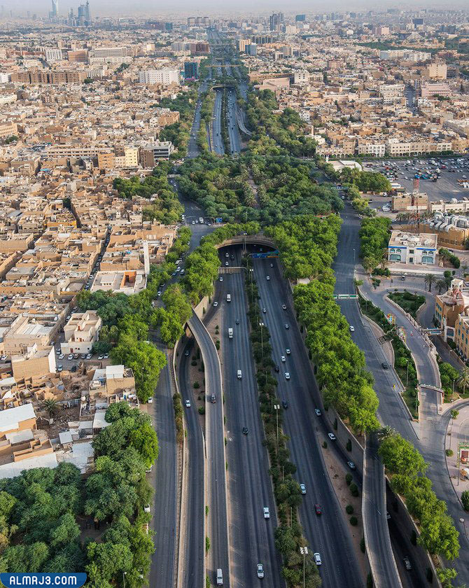  صور عن الرياض الخضراء