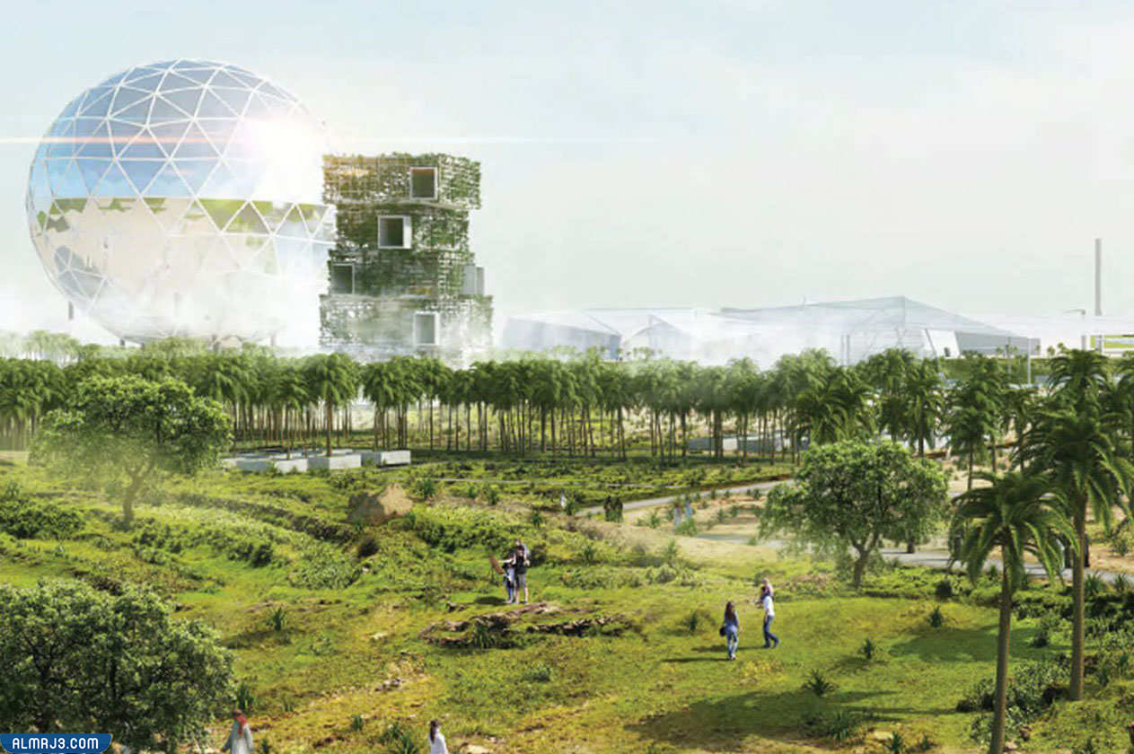  صور عن الرياض الخضراء