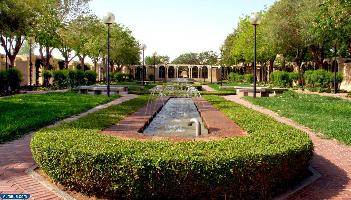  صور عن الرياض الخضراء