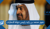 صور محمد بن زايد رئيس دولة الامارات بجودة عالية