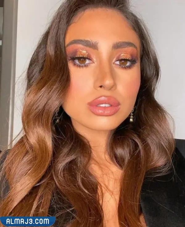 نيكول سعفان السيرة الذاتية