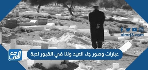 عبارات وصور جاء العيد ولنا في القبور احبة