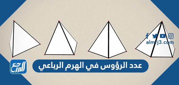 عدد الرؤوس في الهرم الرباعي