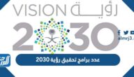 كم عدد برامج تحقيق رؤية 2030