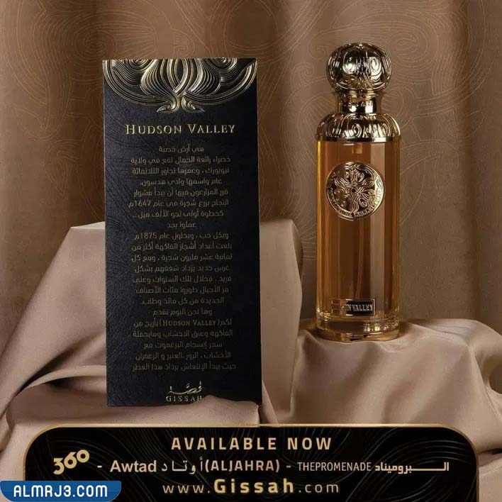 عطر قصة الذهبي كم سعره