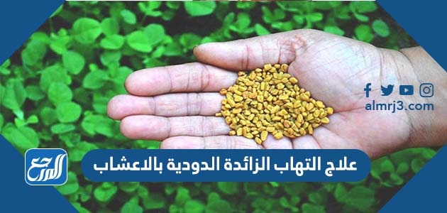 علاج التهاب الزائدة الدودية بالاعشاب