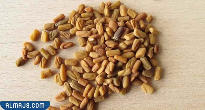 فوائد تناول النساء لمشروب الحلبة