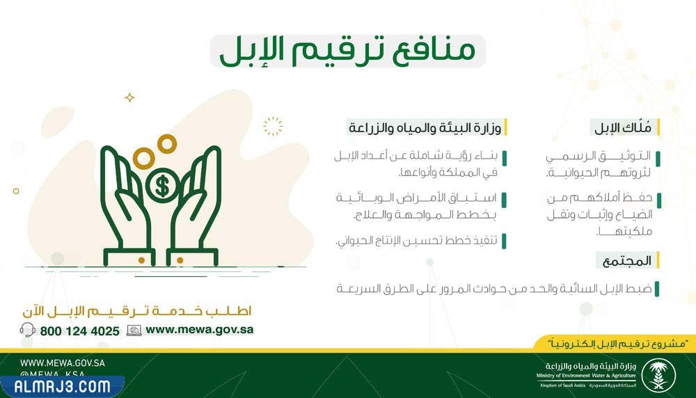 فوائد خدمة ترقيم الإبل