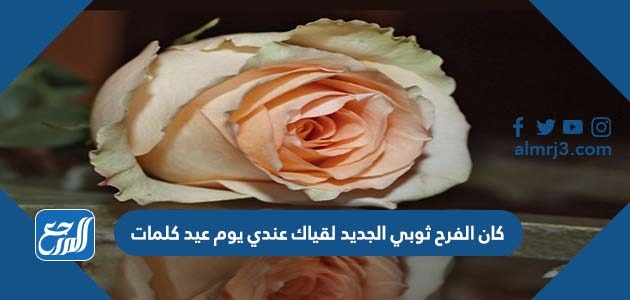 كان الفرح ثوبي الجديد لقياك عندي يوم عيد كلمات