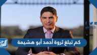 كم تبلغ ثروة أحمد أبو هشيمة