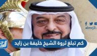 كم تبلغ ثروة الشيخ خليفة بن زايد