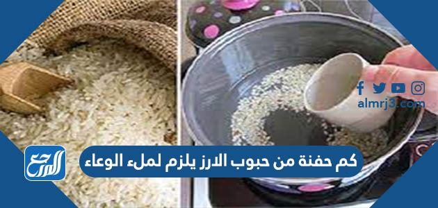 كم حفنة من حبوب الارز يلزم لملء الوعاء