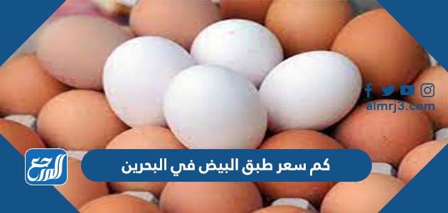 كم سعر طبق البيض في البحرين