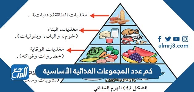 كم عدد المجموعات الغذائية الأساسية