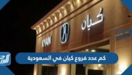 كم عدد فروع كيان في السعودية