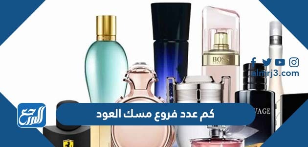 كم عدد فروع مسك العود