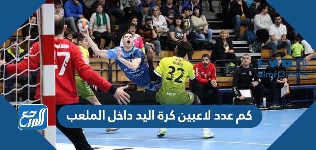 كم عدد لاعبين كرة اليد داخل الملعب