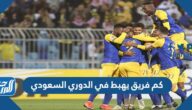 كم فريق يهبط في الدوري السعودي كم فريق يهبط في الدوري السعودي