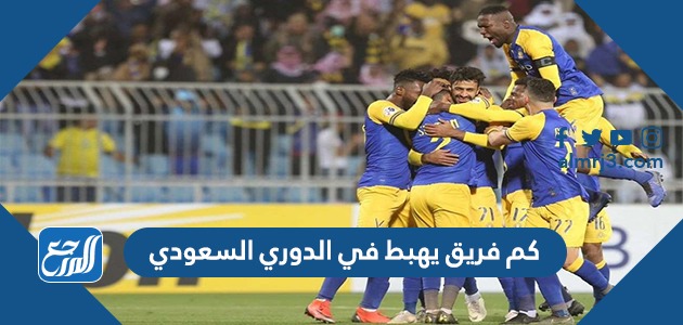 كم فريق يهبط في الدوري السعودي