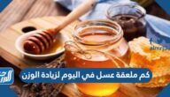 كم ملعقة عسل في اليوم لزيادة الوزن