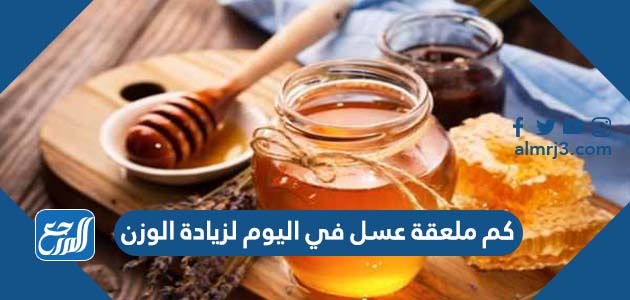 كم ملعقة عسل في اليوم لزيادة الوزن